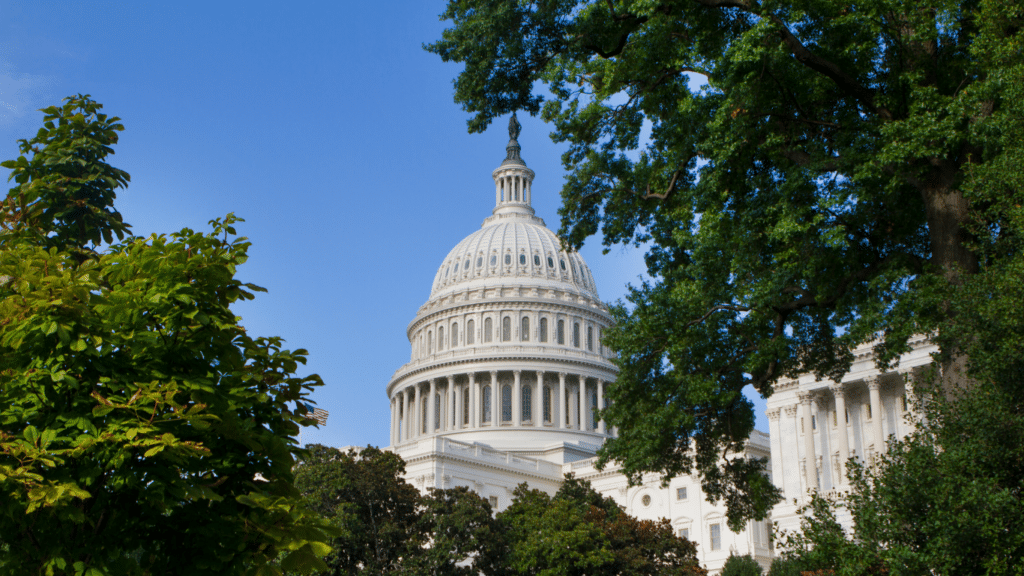 Navigating Federal Funding Changes: Fundraising Strategies to Power Individual Giving