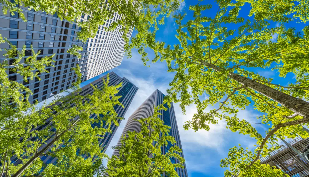 The 2025 Philanthropy Landscape